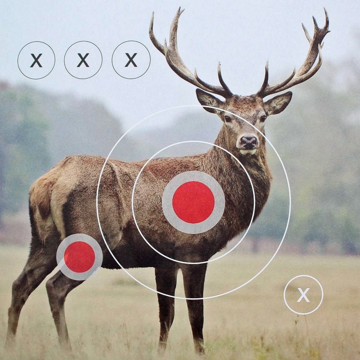 LANDMANN targets, 25 pieces, deer motif